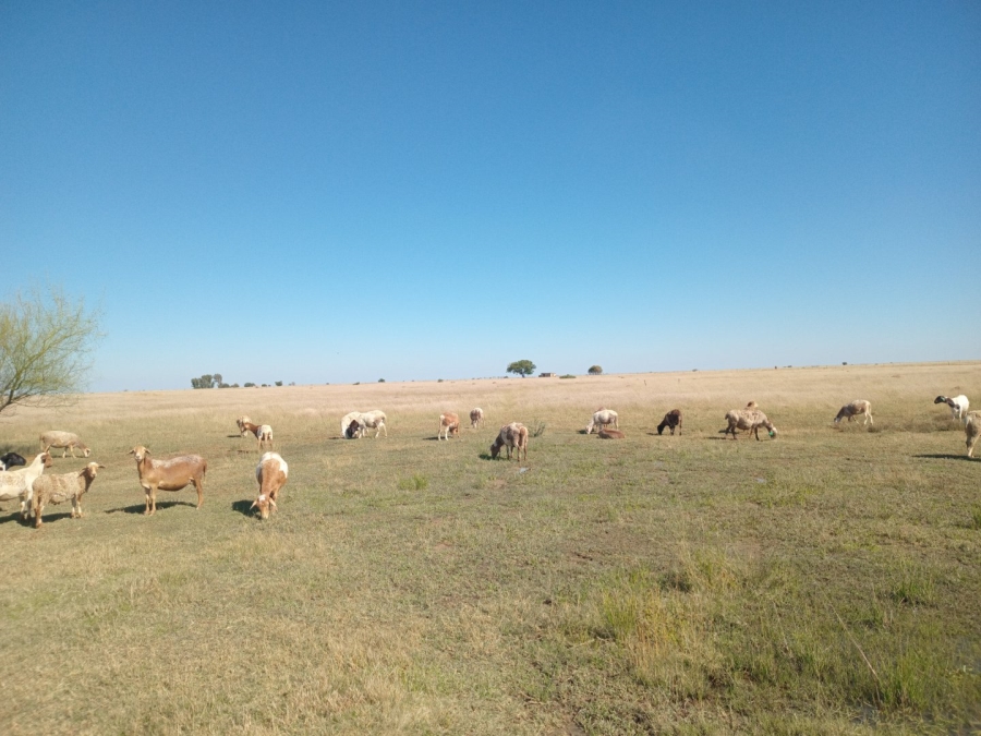 3 Bedroom Property for Sale in Bloemhof Rural North West